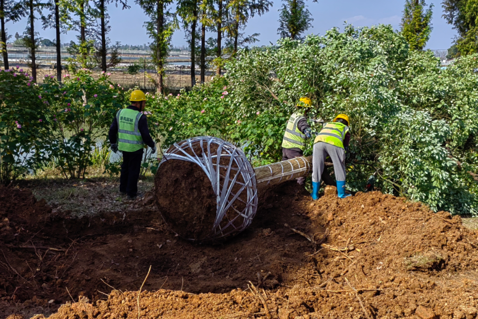 1730938890516867.png 1730938890516867.png