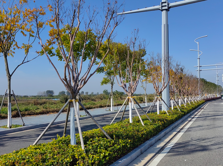 1731311767825378.png 1731311767825378.png