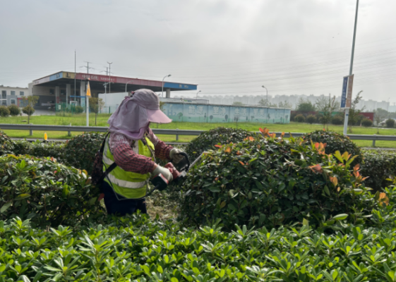 1761788117310119.png 1761788117310119.png